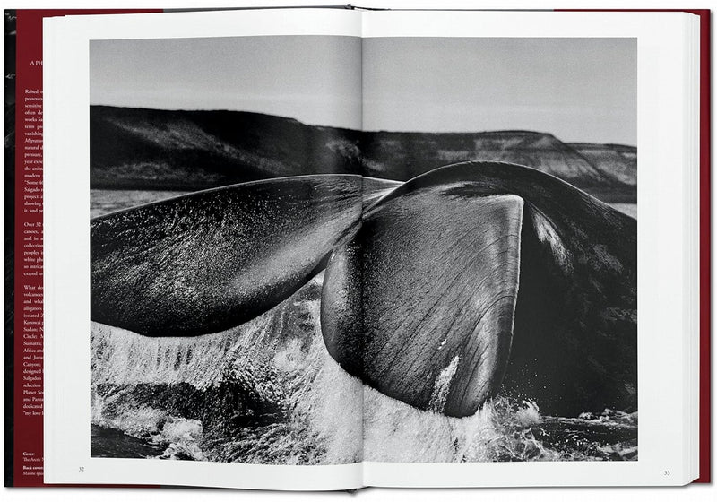 Taschen - Sebastião Salgado. Genesis