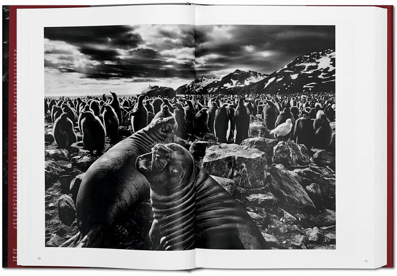Taschen - Sebastião Salgado. Genesis