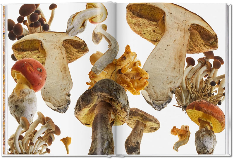 Taschen The Gourmand's Mushroom. A Collection of Stories and Recipes
