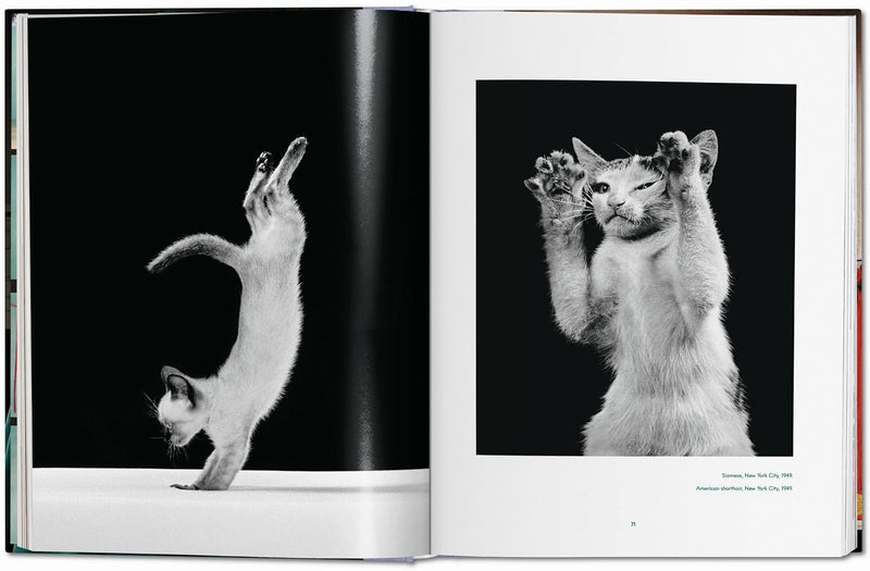 Taschen Walter Chandoha. Cats. Photographs 1942–2018