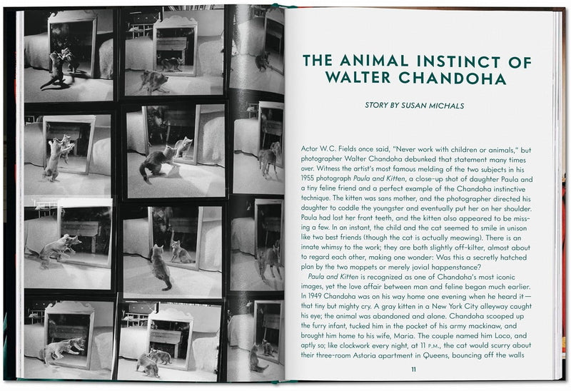 Taschen Walter Chandoha. Cats. Photographs 1942–2018