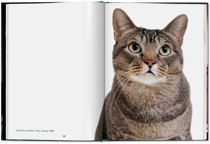 Taschen Walter Chandoha. Cats. Photographs 1942–2018