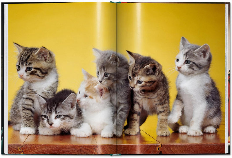 Taschen Walter Chandoha. Cats. Photographs 1942–2018