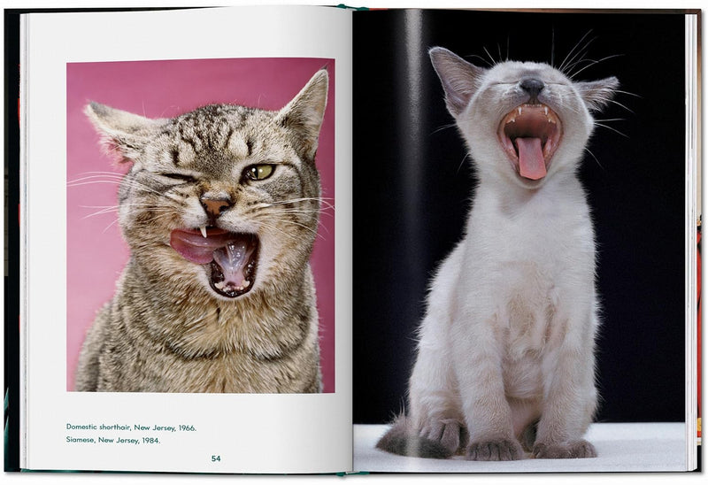 Taschen Walter Chandoha. Cats. Photographs 1942–2018