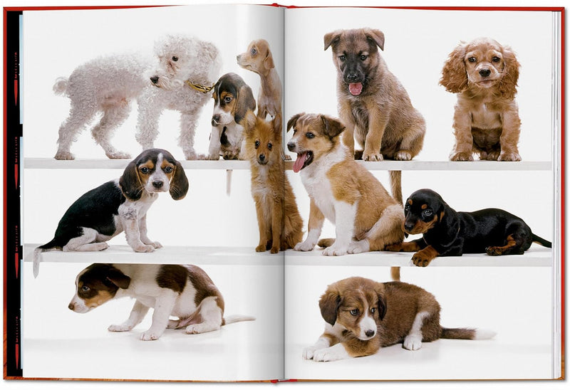 Taschen Walter Chandoha. Dogs. Photographs 1941–1991