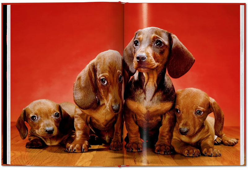 Taschen Walter Chandoha. Dogs. Photographs 1941–1991