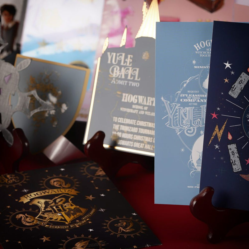 Wizarding World Harry Potter Hermione Yule Ball Box