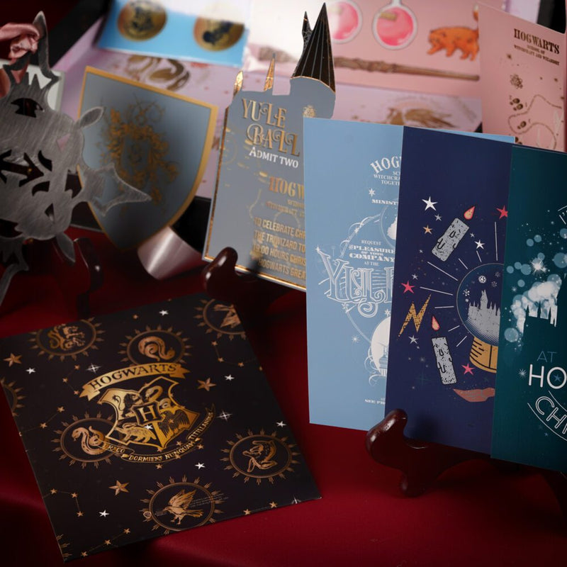 Wizarding World Harry Potter Hermione Yule Ball Box