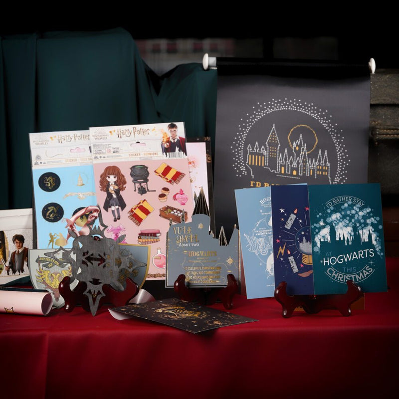 Wizarding World Harry Potter Hermione Yule Ball Box