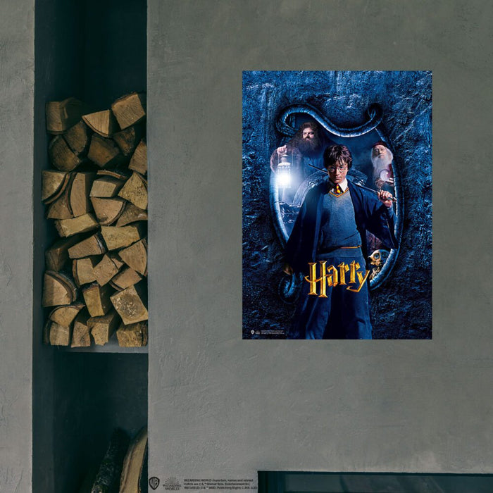 Wizarding World Harry Potter Poster Hogwarts Karakter, Harry B.