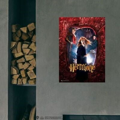Wizarding World Harry Potter Poster Hogwarts Karakter, Hermione B.