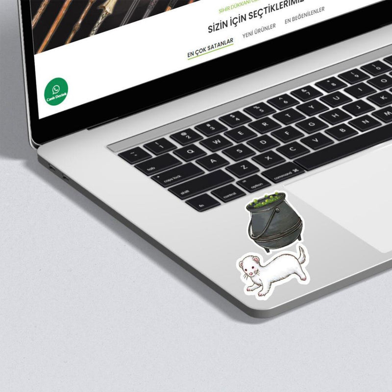 Wizarding World Harry Potter Sticker Anime Draco