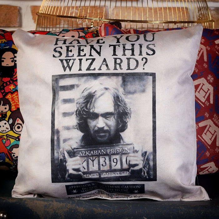 Wizarding World - Harry Potter - Pillow - Have You Seen This Wizard
