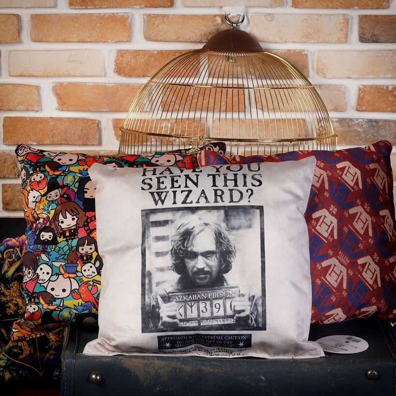 Wizarding World - Harry Potter - Pillow - Have You Seen This Wizard