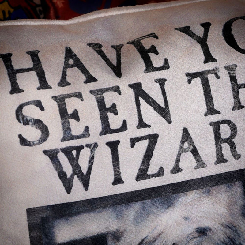 Wizarding World - Harry Potter - Pillow - Have You Seen This Wizard