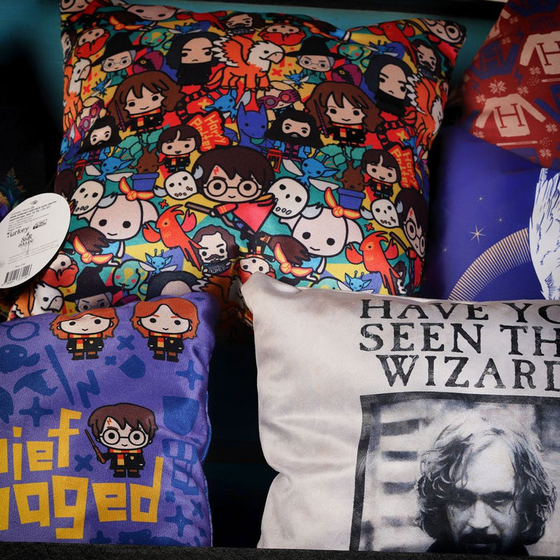 Wizarding World - Harry Potter - Pillow - Have You Seen This Wizard