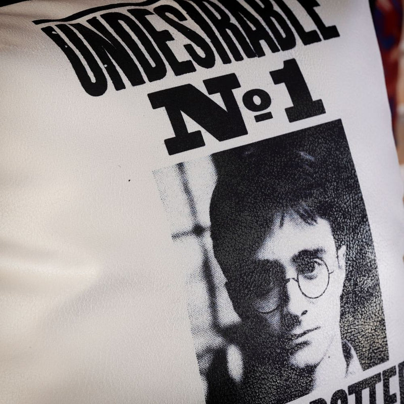 Wizarding World - Harry Potter - Pillow - Undesirable No 1, Harry Potter
